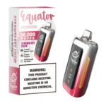 Equator EQ 30,000 Puff Disposable Strawberry Chew