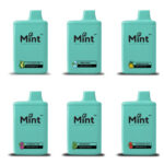 Mint Vapor 6500 Puff Disposable