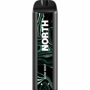 North 5000 Puff Disposable Gum Mint