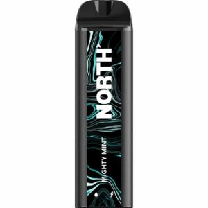 North 5000 Puff Disposable Mighty Mint