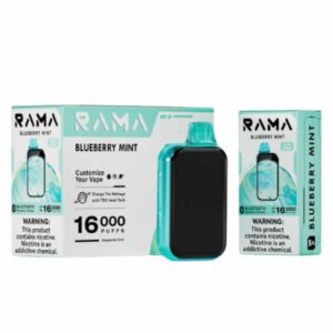 RAMA 16000 Puff Disposable-Blueberry Mint