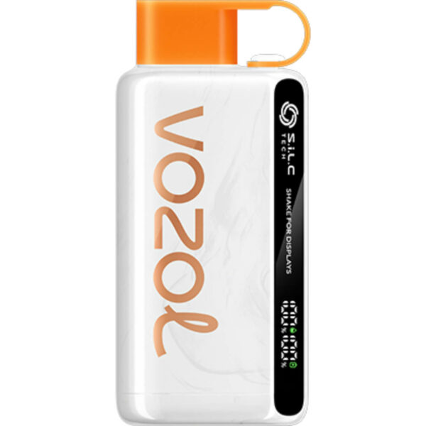 Vozol Star 9000 Puff Disposable Mexican Mango