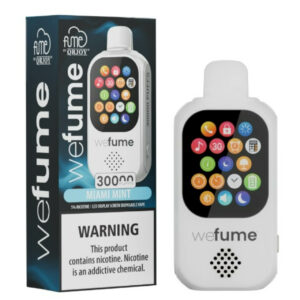 Wefume 30000 Puff Disposable Miami Mint